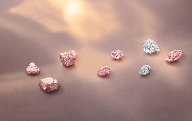 绿意与花色交织展现生机与浪漫。AG真人百家家乐app春日来临(图6)