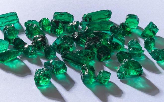 绿意与花色交织展现生机与浪漫。AG真人百家家乐app春日来临(图7)