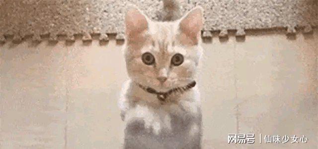 ”章泽天再官宣奶茶妹妹新动向引人关注AG真人百家家乐平台“婚变仅10天(图12) ”章泽天再官宣奶茶妹妹新动向引人关注AG真人百家家乐平台“婚变仅10天(图12)